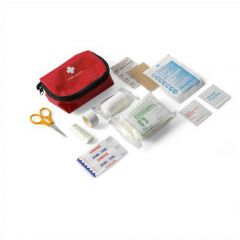 First Aid Kit In A Nylon Pouch 