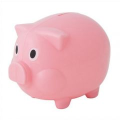 Budget Piggy Bank