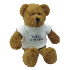 Scraggy Bear (7 inches tall) With T-Shirt