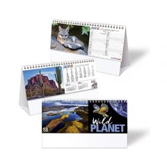 wild planet desk calendar